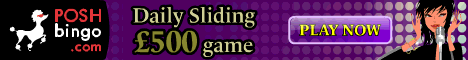 Posh Bingo
